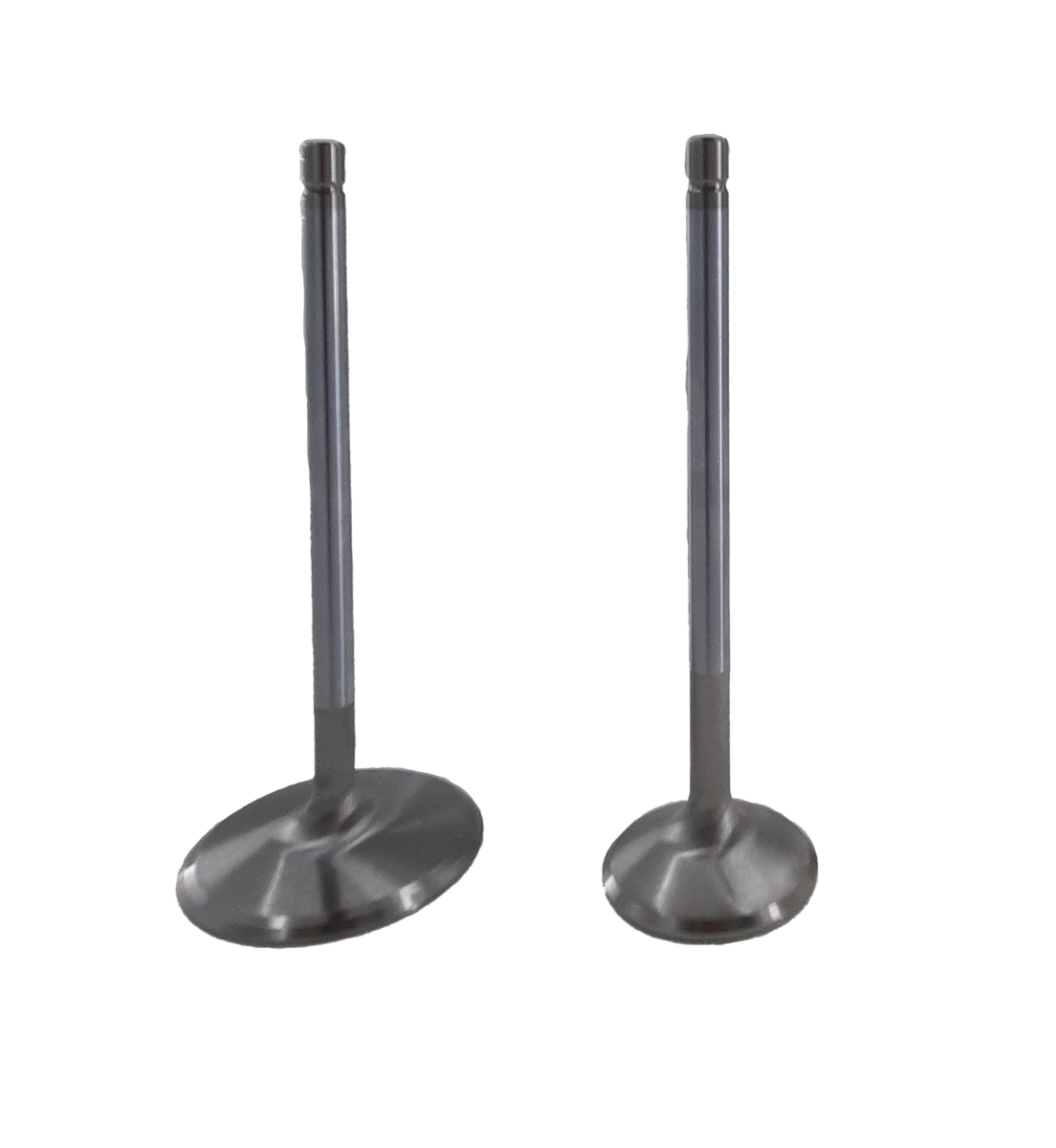 Stainless Steel Intake Valves Magnitude Performance